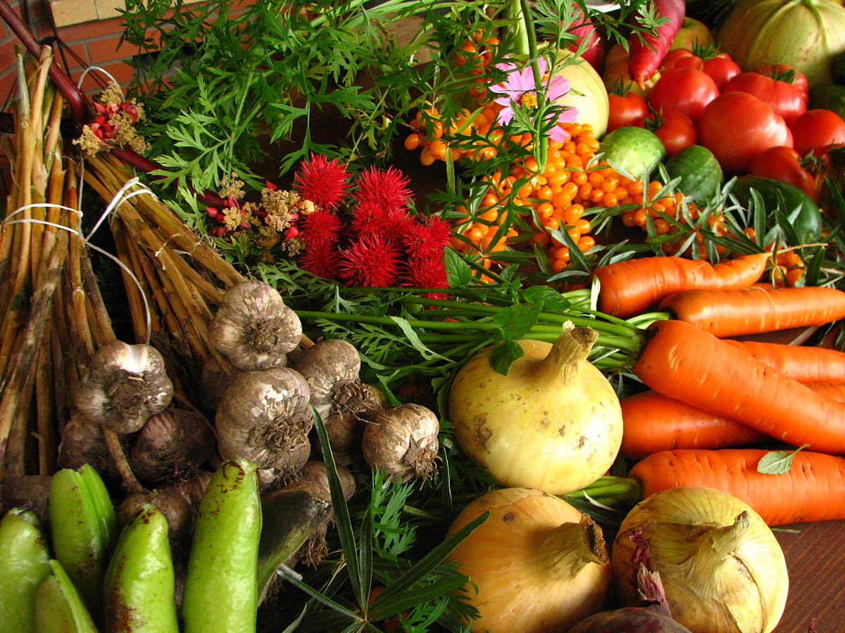 1200px-Ecologically_grown_vegetables