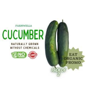 Cucumber (Pack of 2)