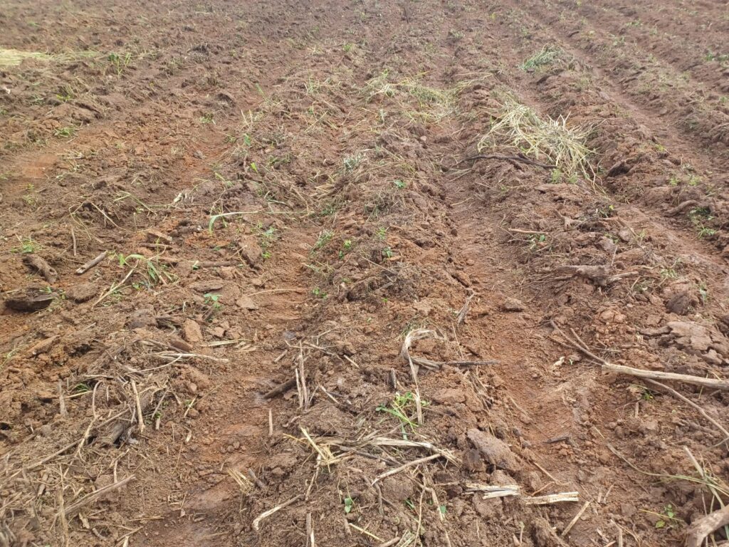 Picture of a farm bed