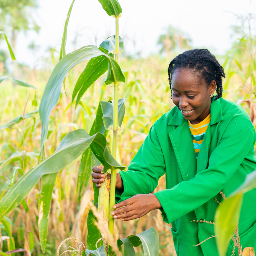 woman african farmer