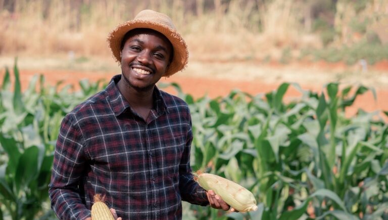 startup farmer