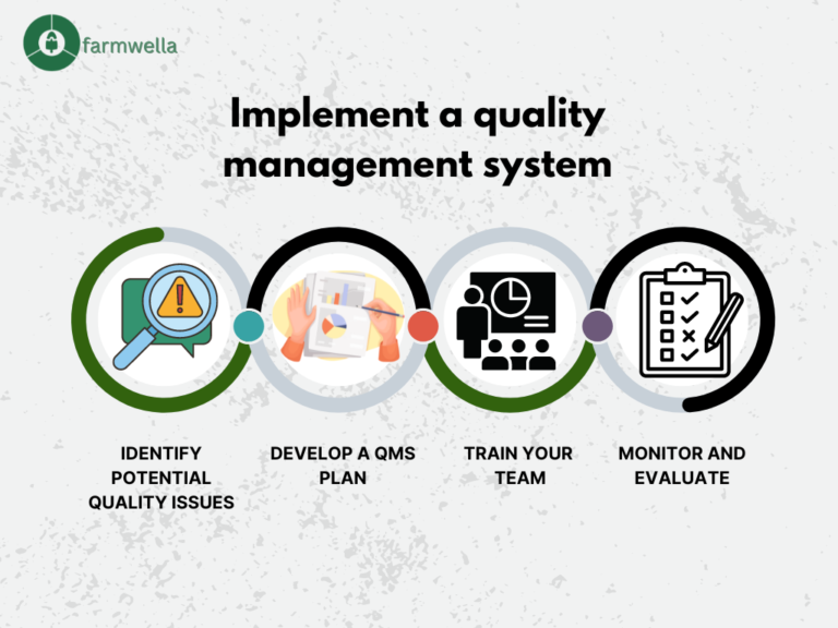 qms plan