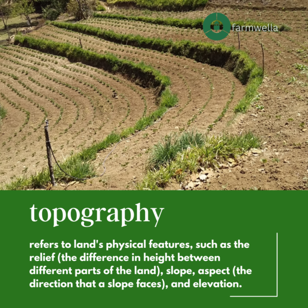 topography definition
