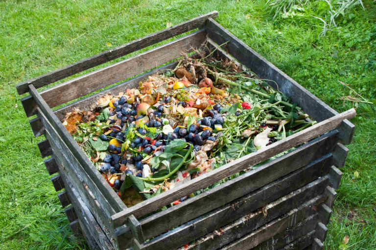backyard composting