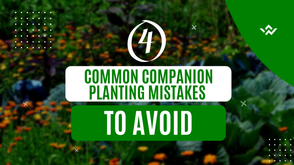 companion planting cover