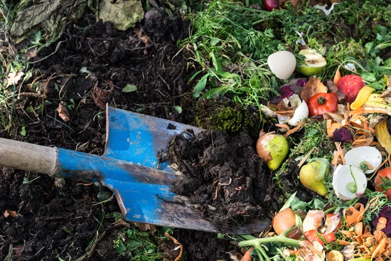 food waste composting