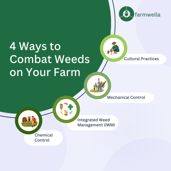 4 ways to combat weed
