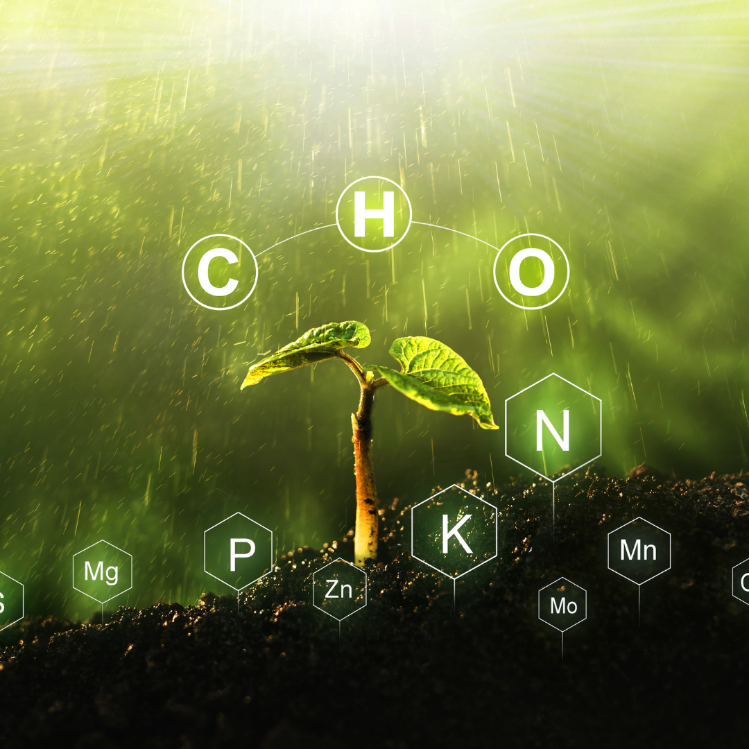 Soil nutrients