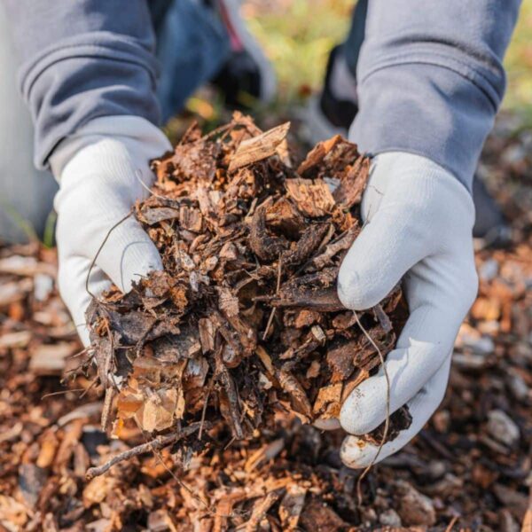 Organic mulch